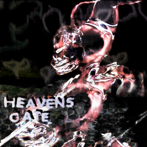 Dasychira - Heavens Gate